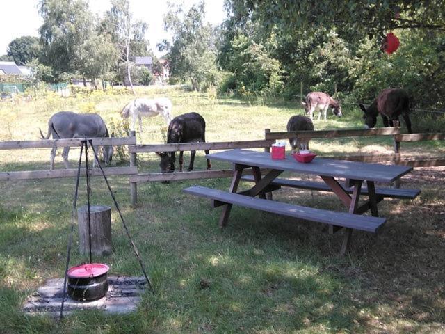 De Balkende Hoeve 아라쇼트 외부 사진